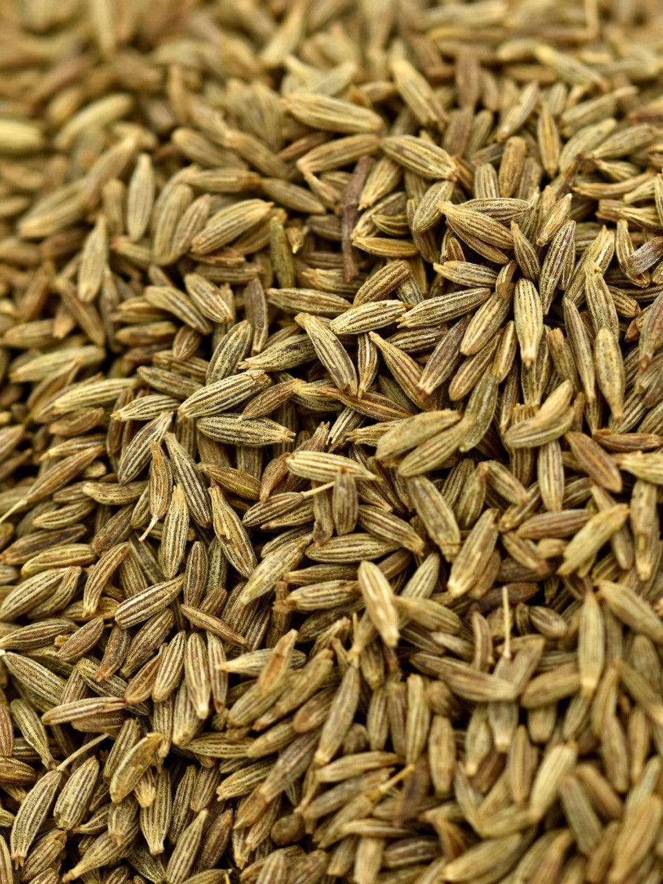 Cumin Seed (White)