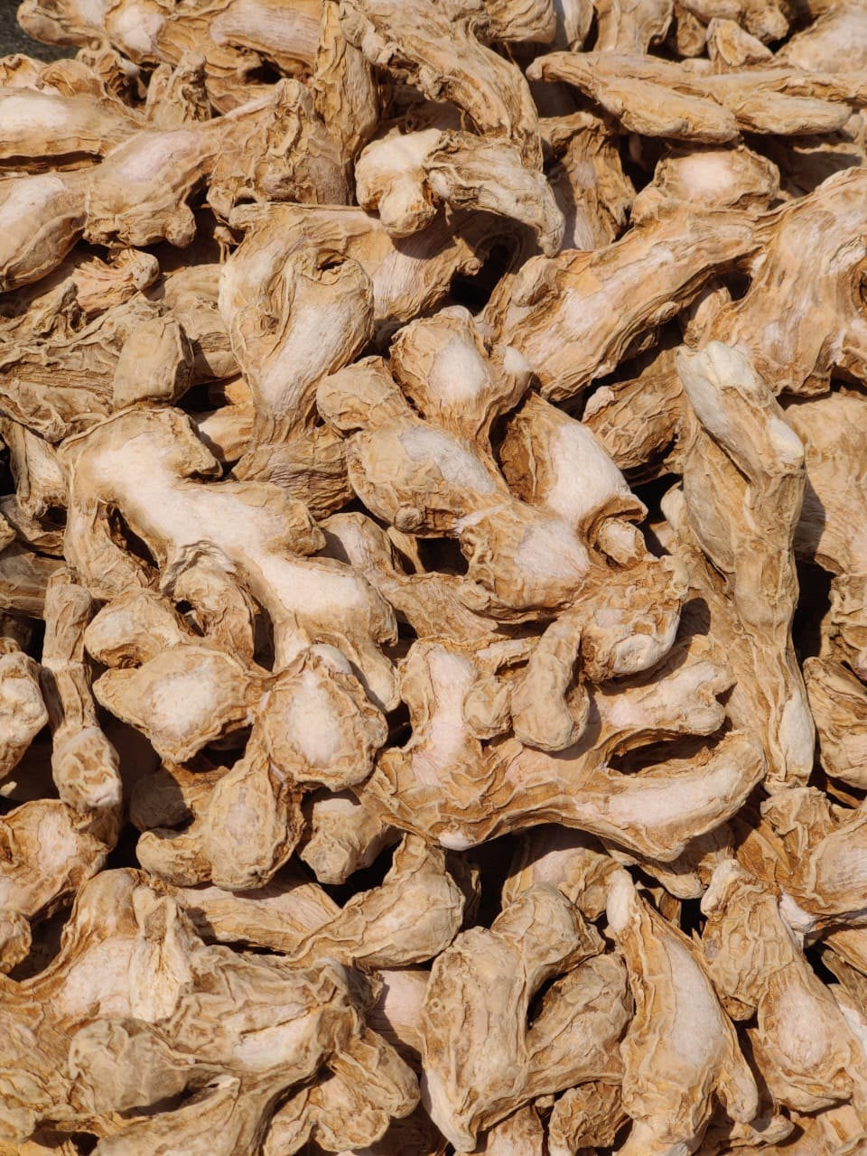 Dry Ginger
