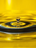 Premium Organic Mustard Oil