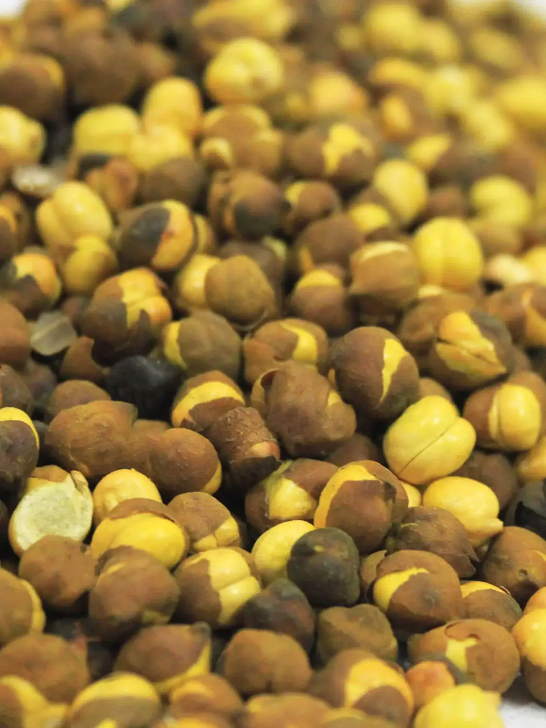 Roasted Chanay