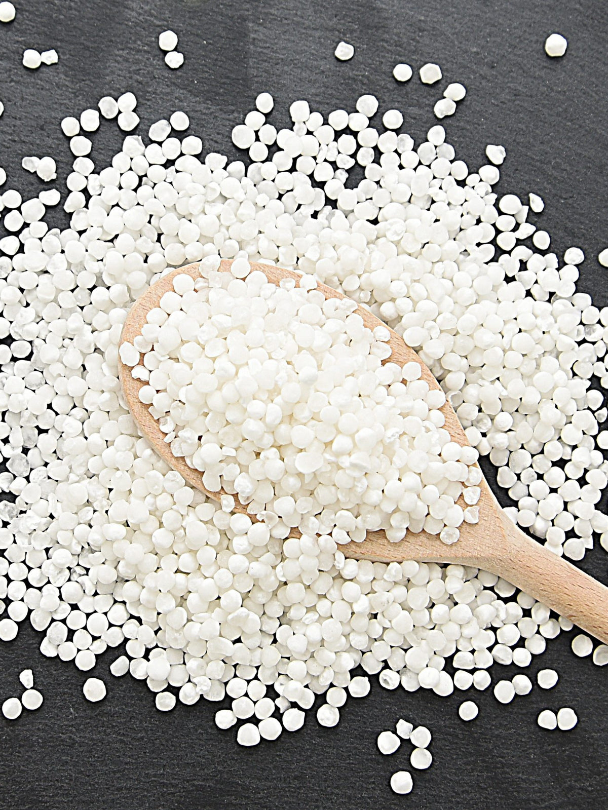 Sago Seed
