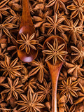 Star Aniseed